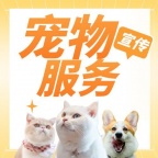 宠物服务，宠物美容，宠物医院，上水滴百业网，免费推广宣传
